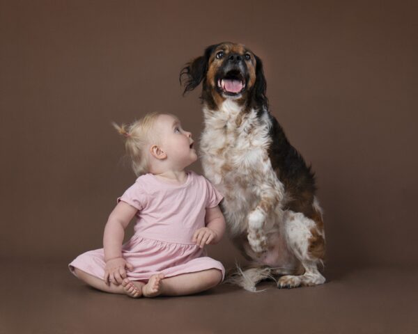 Dog Photography Package - Image 3